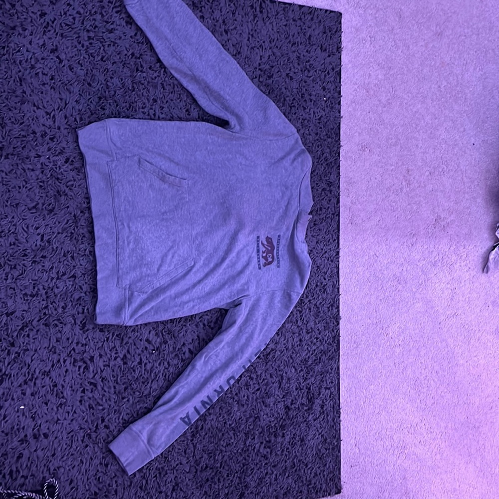 Men’s Aeropostale hoodie size L, gray